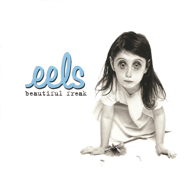Cover of 'Beautiful Freak' - Eels